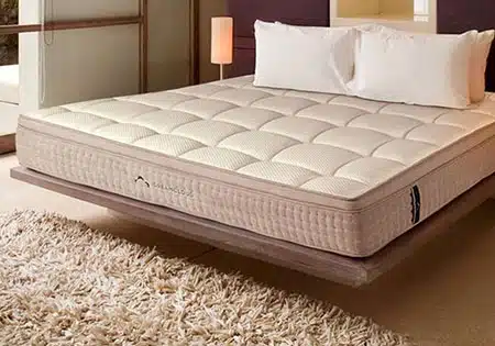 Mattress and Cushion Industry